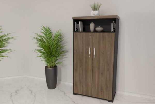 ARMARIO ALTO 2 PUERTAS