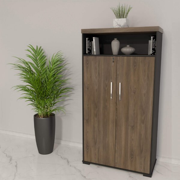 ARMARIO ALTO 2 PUERTAS