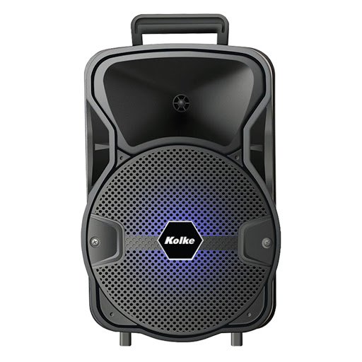 PARLANTE INALAMBRICO BLUES 8